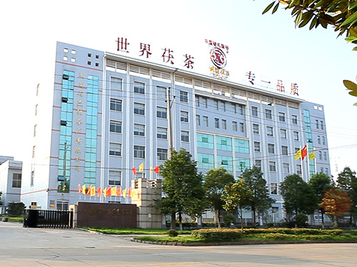 Yiyang Tea Factory