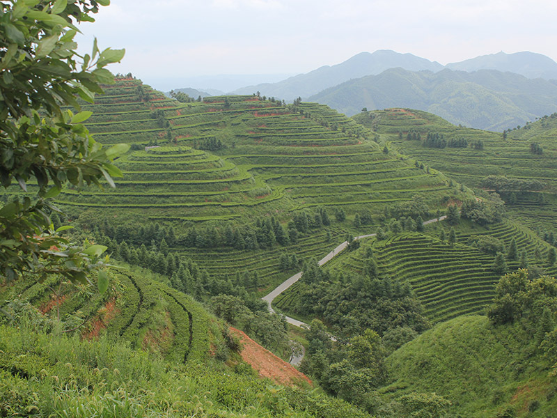 Yuanling Huitong demonstration base