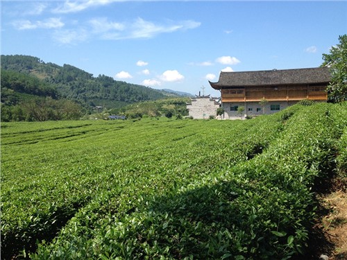 Zhangjiajie demonstration base