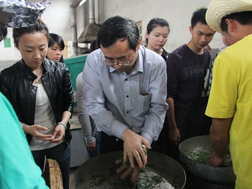 Professor Xiao Lizheng instructs the company students to make tea